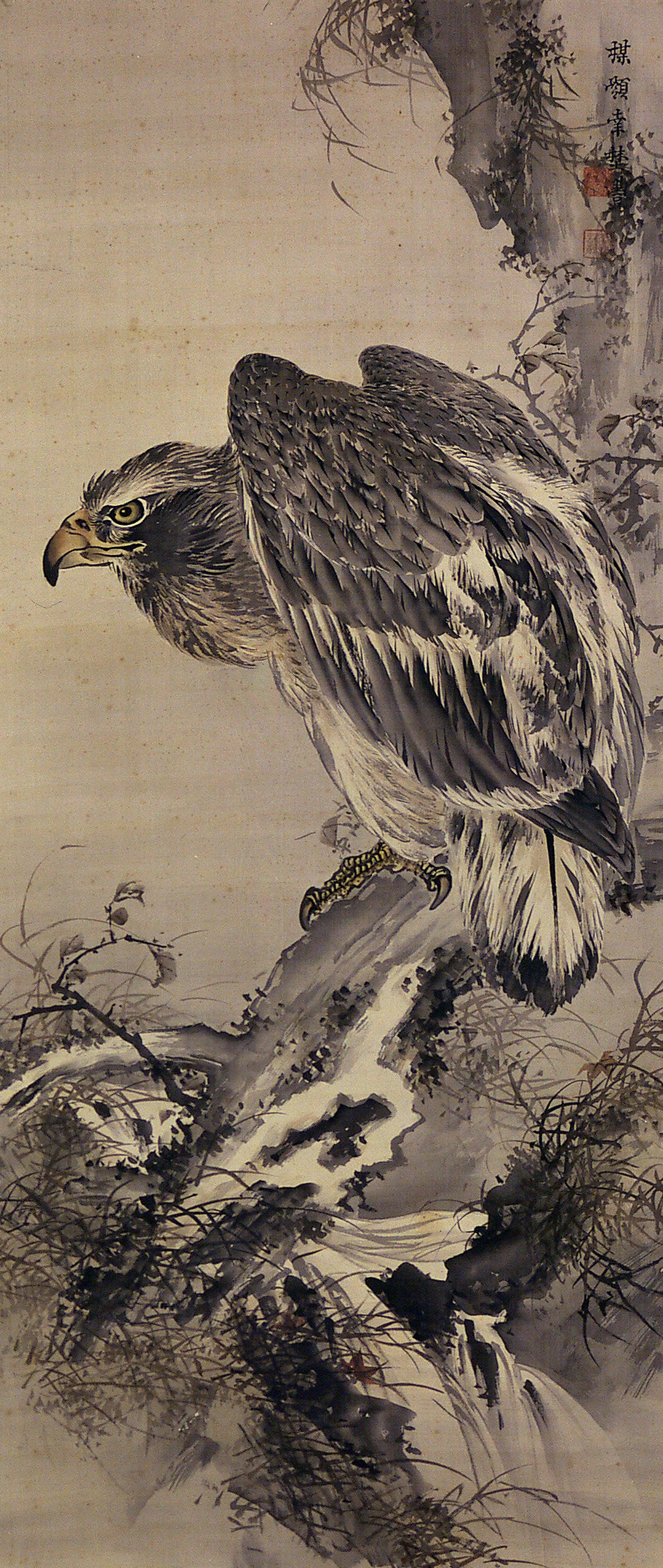 幸野楳嶺筆「渓頭棲鷲図」